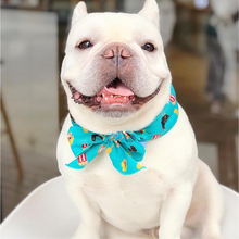 Load image into Gallery viewer, Pet Cooling Bandana for Dog and Cat