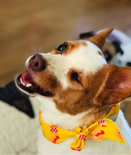 Load image into Gallery viewer, Pet Cooling Bandana for Dog and Cat