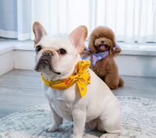 Load image into Gallery viewer, Pet Cooling Bandana for Dog and Cat