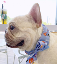 Load image into Gallery viewer, Pet Cooling Bandana for Dog and Cat