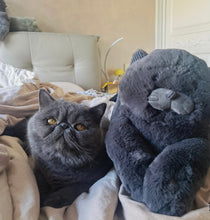 Load image into Gallery viewer, Blue Cat-shaped Pillow for Dog and Cat