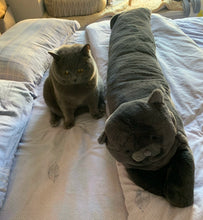 Load image into Gallery viewer, Blue Cat-shaped Pillow for Dog and Cat