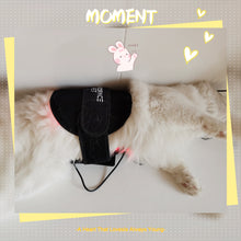 Load image into Gallery viewer, Pet Red Light Therapy Pad, Infrared Light Therapy for Joint and Muscle Pain Relief