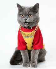 Load image into Gallery viewer, Hamburgers and French Fries Printing Hoodie for Dogs and Cats-Clothing-Mooki-PETsgoi