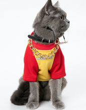 Load image into Gallery viewer, Hamburgers and French Fries Printing Hoodie for Dogs and Cats-Clothing-Mooki-PETsgoi