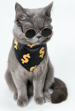 Load image into Gallery viewer, Adjustable Neck scarf Bandana for all Pets Billionaire Dollars