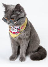 Load image into Gallery viewer, Adjustable Pets Neck Scarf Bandana Noble Cat