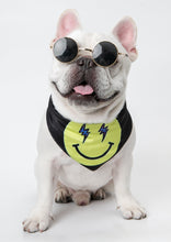 Load image into Gallery viewer, Adjustable Neck scarf Bandana for all Pets Smiley Face