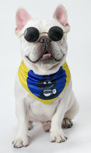 Load image into Gallery viewer, Adjustable Neck scarf Bandana for all Pets Blue Coffee