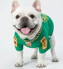 Load image into Gallery viewer, Pets Green Milk Tea Hoodie-Clothing-Mooki-PETsgoi