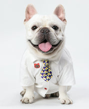 Load image into Gallery viewer, White Fabric Painted Shirt