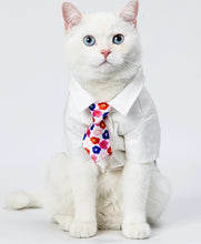 Load image into Gallery viewer, NeckTie for Pets, Dogs and Cats