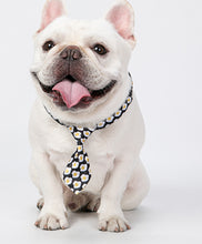 Load image into Gallery viewer, NeckTie for Pets, Dogs and Cats