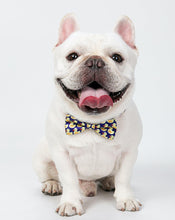 Load image into Gallery viewer, Pets Necktie Collar, for Both Dogs and Cats-Pets Accessories-Mooki-PETsgoi