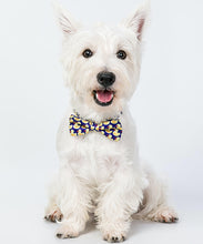 Load image into Gallery viewer, Pets Necktie Collar, for Both Dogs and Cats-Pets Accessories-Mooki-PETsgoi