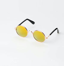 Load image into Gallery viewer, PETsgoi's choice Stylish Pet Sunglasses-Pets Accessories-Mooki-PETsgoi