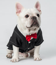 Load image into Gallery viewer, Mooki Two-in-One Shirt Dress for Dogs and Cats