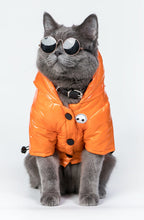 Load image into Gallery viewer, Skull Orange Cotton-Padded Coat-Clothing-Mooki-PETsgoi