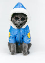 Load image into Gallery viewer, Pets Deep Blue Cotton-Padded Coat-Clothing-Mooki-PETsgoi