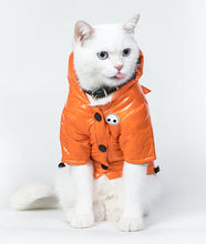 Load image into Gallery viewer, Skull Orange Cotton-Padded Coat-Clothing-Mooki-PETsgoi