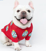 Load image into Gallery viewer, Monokini Red Ice Cream Sweater-Clothing-Mooki-PETsgoi