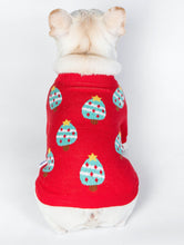 Load image into Gallery viewer, Monokini Red Ice Cream Sweater-Clothing-Mooki-PETsgoi