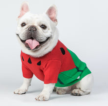 Load image into Gallery viewer, Watermelon Printed Pets Sweater For Dogs and Cats