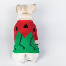Load image into Gallery viewer, Watermelon Printed Pets Sweater For Dogs and Cats