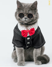 Load image into Gallery viewer, Mooki Two-in-One Shirt Dress for Dogs and Cats