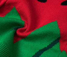 Load image into Gallery viewer, Watermelon Printed Pets Sweater For Dogs and Cats