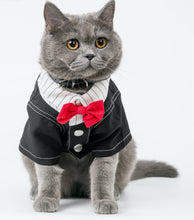 Load image into Gallery viewer, Mooki Two-in-One Shirt Dress for Dogs and Cats