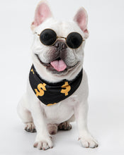 Load image into Gallery viewer, Adjustable Neck scarf Bandana for all Pets Billionaire Dollars