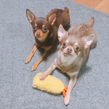 Load image into Gallery viewer, Tempura Plush Squeaker Pet Toy-Pets Accessories-PETsgoi-PETsgoi