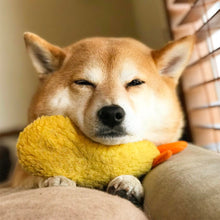 Load image into Gallery viewer, Tempura Plush Squeaker Pet Toy-Pets Accessories-PETsgoi-PETsgoi