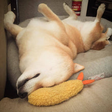 Load image into Gallery viewer, Tempura Plush Squeaker Pet Toy-Pets Accessories-PETsgoi-PETsgoi