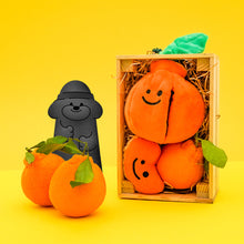 Load image into Gallery viewer, Hide and Seek Plush Orange Set Pet Toy
