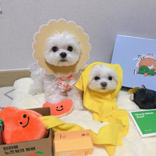 Load image into Gallery viewer, Hide and Seek Plush Orange Set Pet Toy