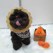 Load image into Gallery viewer, Hide and Seek Plush Orange Set Pet Toy