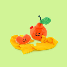 Load image into Gallery viewer, Hide and Seek Plush Orange Set Pet Toy