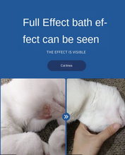 Load image into Gallery viewer, DCVET Pet Medicated Bath Gel Shampoo for Dogs and Cats' Skin Disease