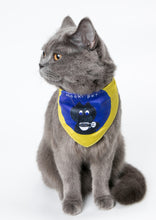 Load image into Gallery viewer, Adjustable Neck scarf Bandana for all Pets Blue Coffee