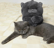 Load image into Gallery viewer, Blue Cat-shaped Pillow for Dog and Cat
