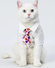 Load image into Gallery viewer, Pets Necktie Collar, for Both Dogs and Cats-Pets Accessories-Mooki-PETsgoi
