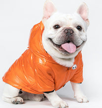 Load image into Gallery viewer, Skull Orange Cotton-Padded Coat-Clothing-Mooki-PETsgoi
