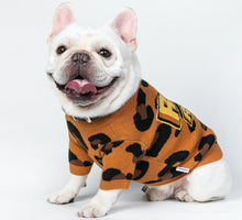 Load image into Gallery viewer, Pets hip-hop Leopard Sweater-Clothing-Mooki-PETsgoi
