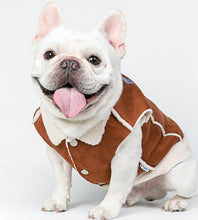 Load image into Gallery viewer, Pets Shearling Waistcoat-Clothing-Mooki-PETsgoi
