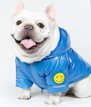 Load image into Gallery viewer, Pets Deep Blue Cotton-Padded Coat-Clothing-Mooki-PETsgoi
