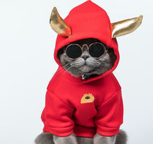 Load image into Gallery viewer, Pet Cloth for Chinese OX New Year Warm Red Hoodie Holiday Apparel
