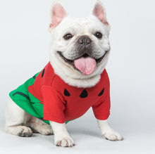 Load image into Gallery viewer, Watermelon Printed Pets Sweater For Dogs and Cats
