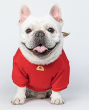 Load image into Gallery viewer, Pet Cloth for Chinese OX New Year Warm Red Hoodie Holiday Apparel
